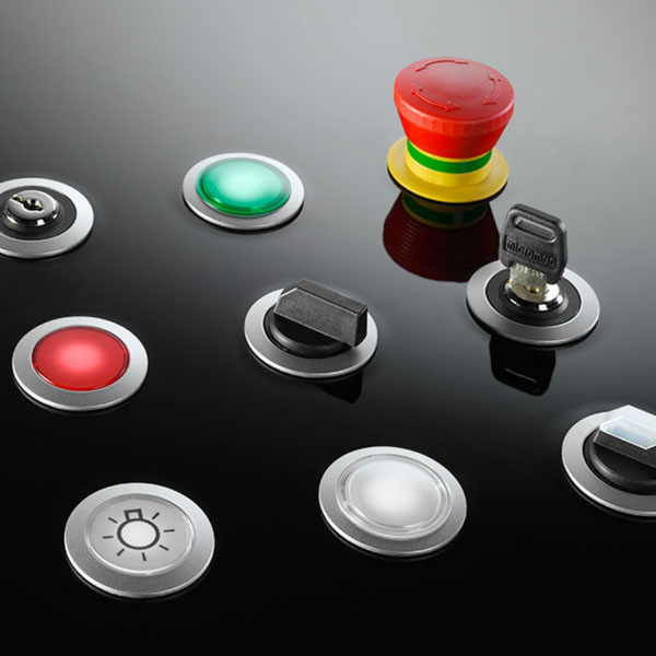 The picture shows the Rontron-R-Juwel switch and pushbutton.