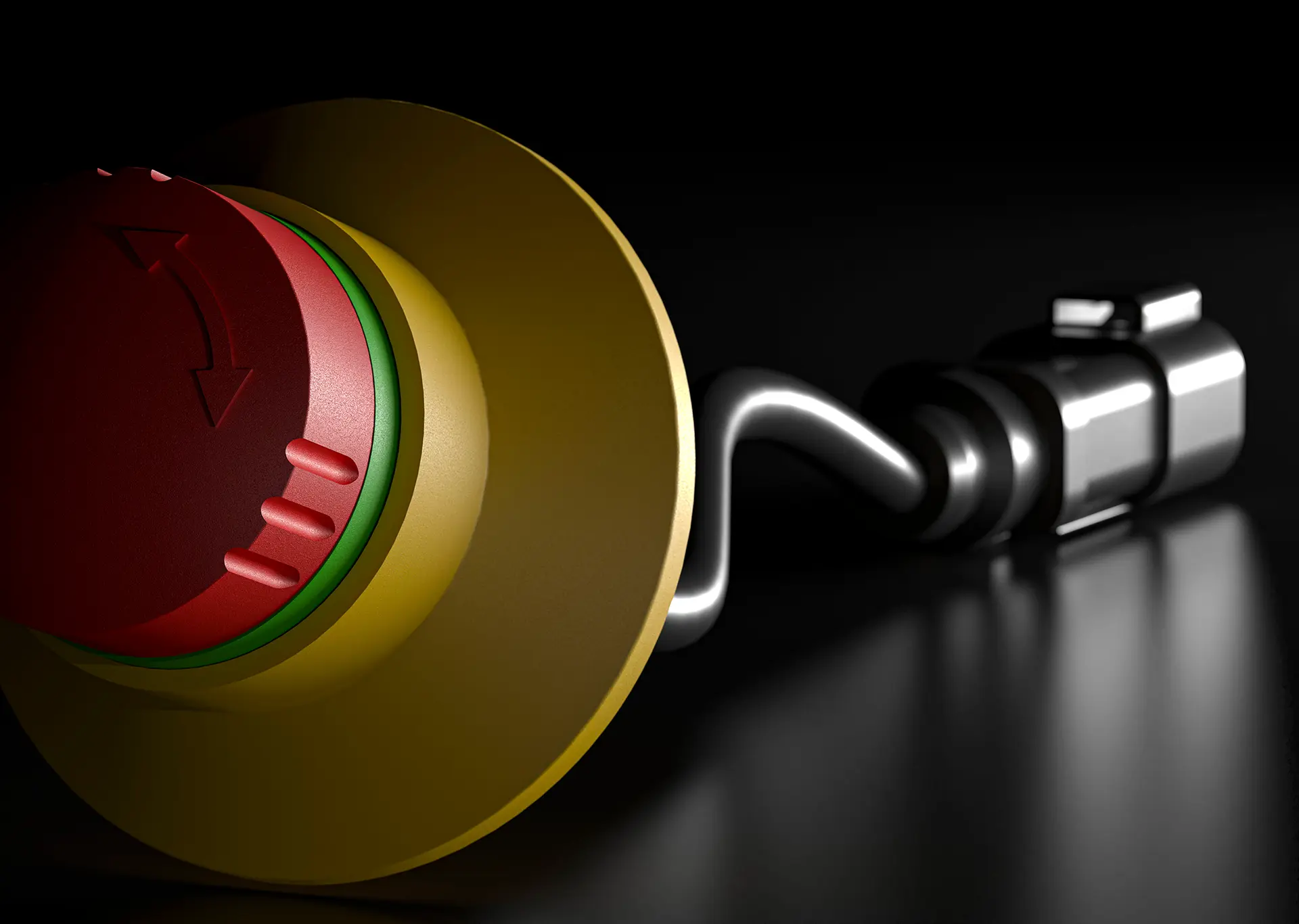 Customised pushbuttons and switches